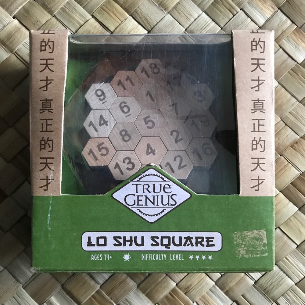 True Genuis | Lo Shu Square | Math Puzzle - Picture 3 of 7